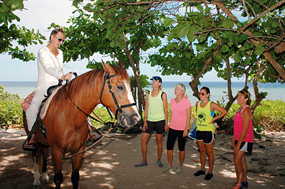 cayman horseback riding check in at pampered ponies